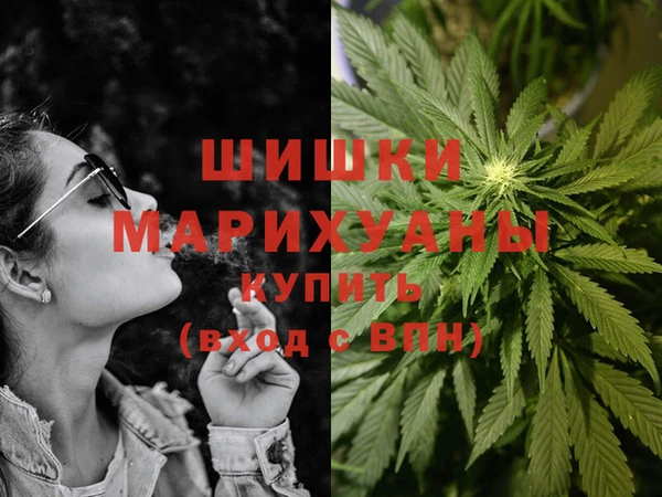 PSILOCYBIN Горно-Алтайск