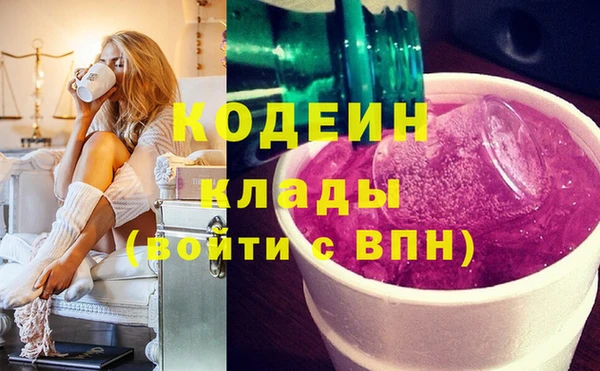 круглые Гусев