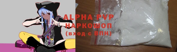PSILOCYBIN Горно-Алтайск