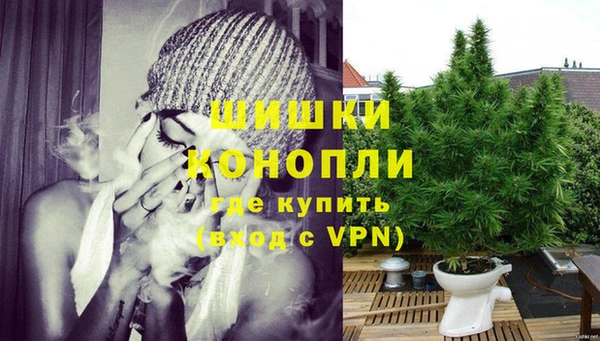 PSILOCYBIN Горно-Алтайск
