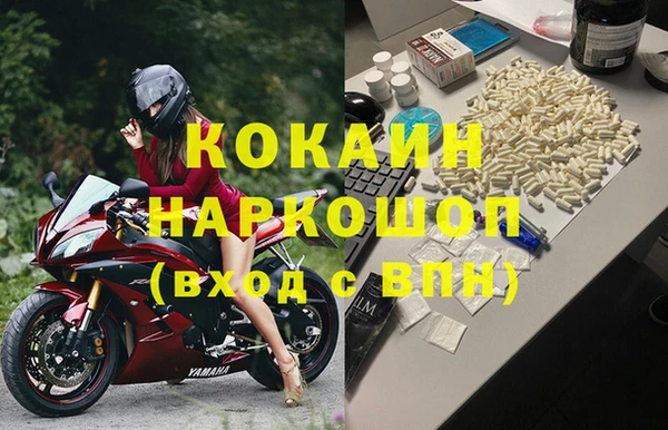круглые Гусев