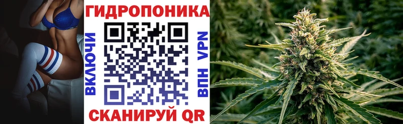 Шишки марихуана SATIVA & INDICA Купить Нарткала
